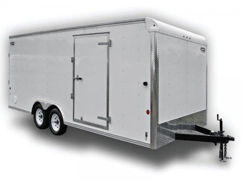 Sportster Car Trailer